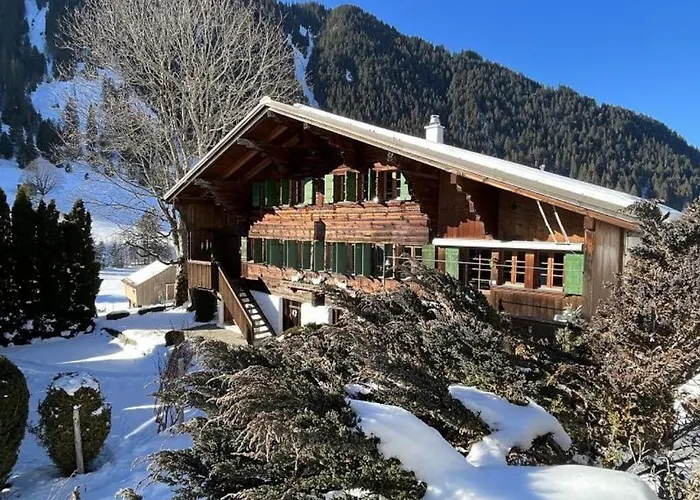 Chalet Ananda, Lauenen Bei Gstaad