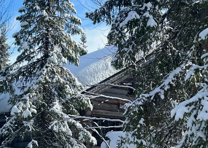 Lapland Log Chalet Cabin Ukko-Kelo Luosto
