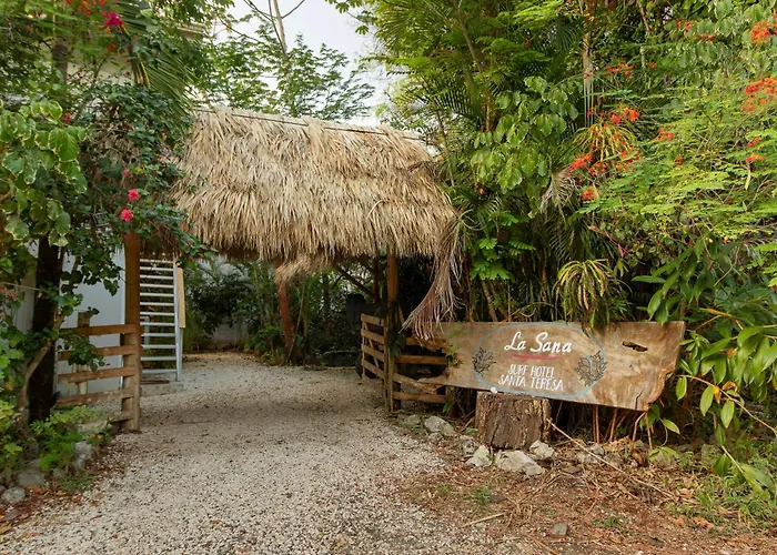 La Sana Surf Hotel, Playa Carmen
