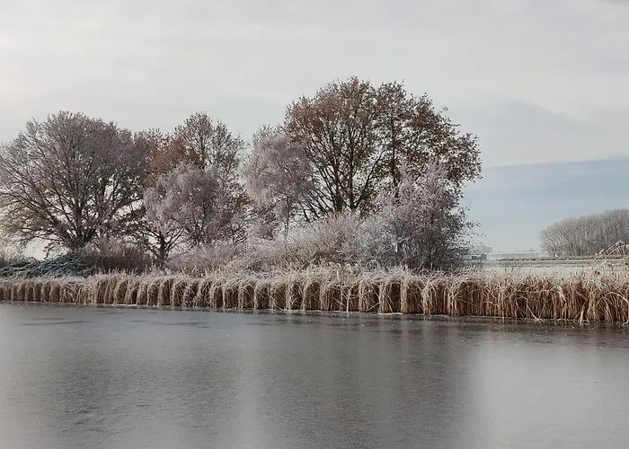 Park De Driesprong