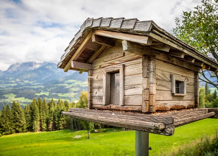 Panorama Chalet Hoellmaishof