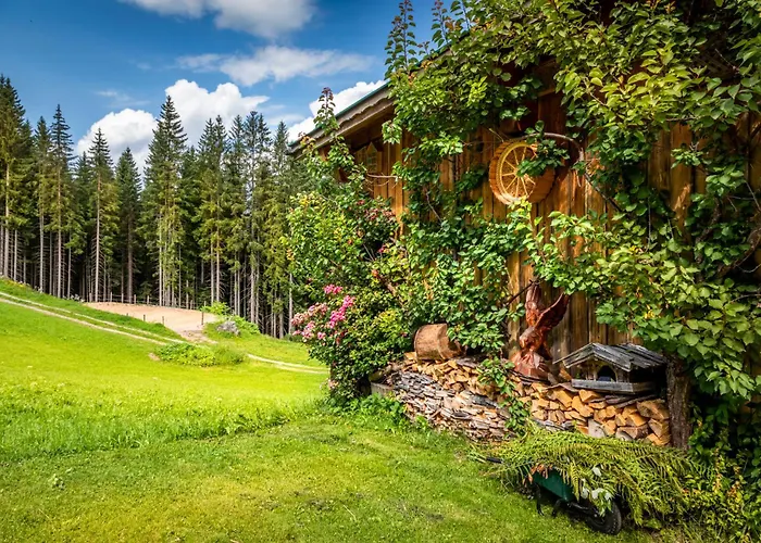 Panorama Chalet Hoellmaishof