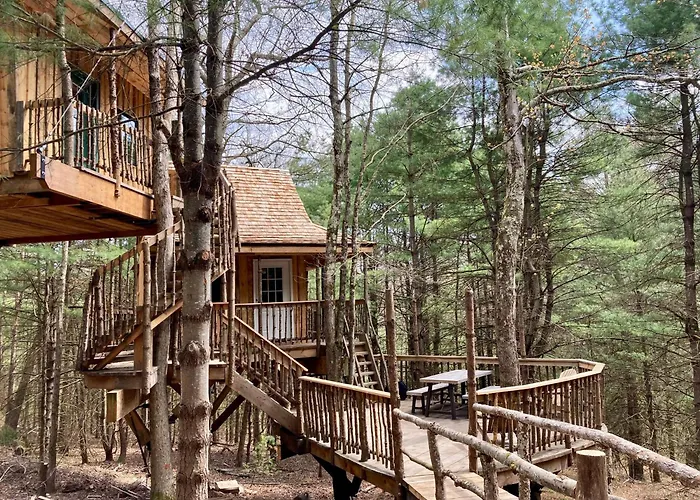 Little Birds Treehouse