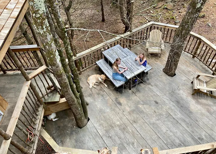 Little Birds Treehouse