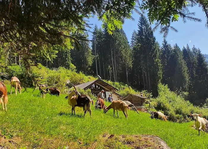 Baita - Chalet Nagalu