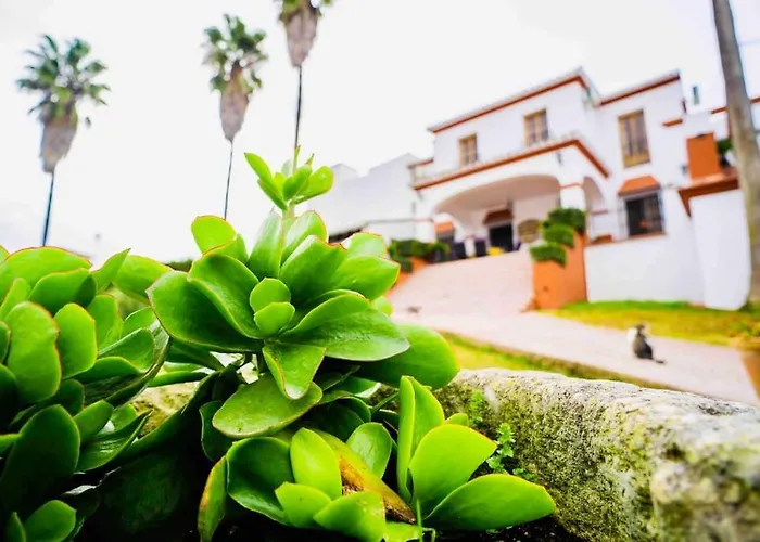 Casa Rural De Campo Con Piscina En La Sierra De Cadiz