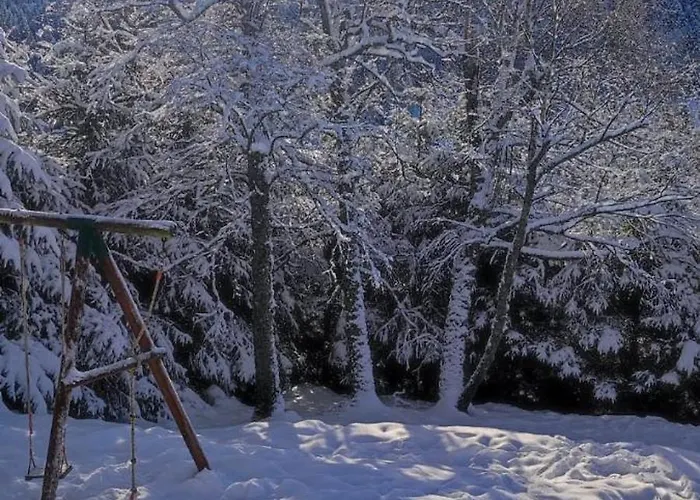 Le Cerf, chalet cocooning avec piscine et billard