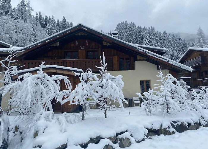 Joyeux Flocon - Spacieux Chalet