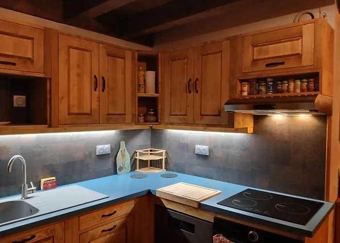 Chalet à Pra Loup 1500 avec 4 chambres, pour 12 personnes - FR-1-165A-51
