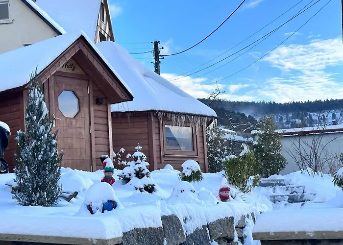 Les Kotas du bonheur