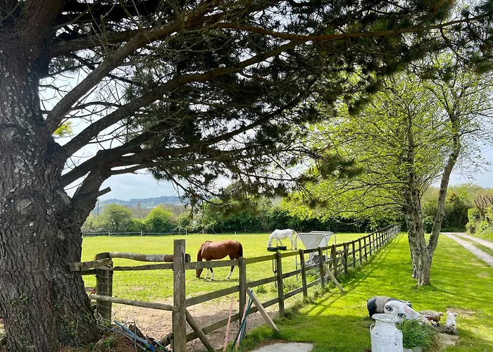 A Unique & Tranquil Smallholding Retreat