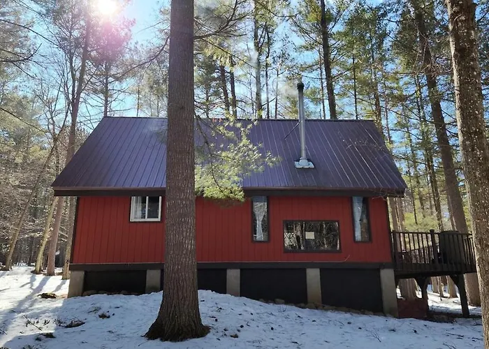 Cozy Cabin Near Lake Placid, Whiteface-King, Ice Barrel, Hot Tub