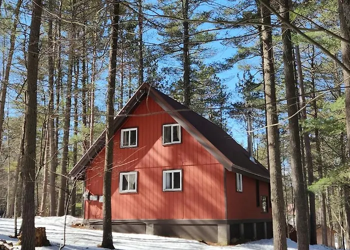 Cozy Cabin Near Lake Placid, Whiteface-King, Ice Barrel, Hot Tub