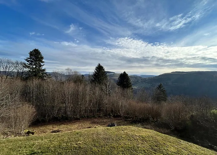 Chalet Les Bouleaux, La Montagne Des Lamas