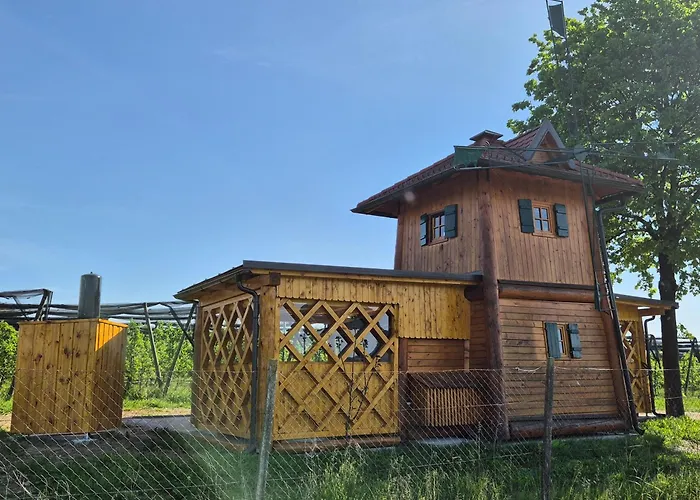 Unique Wooden Holiday House In Nature