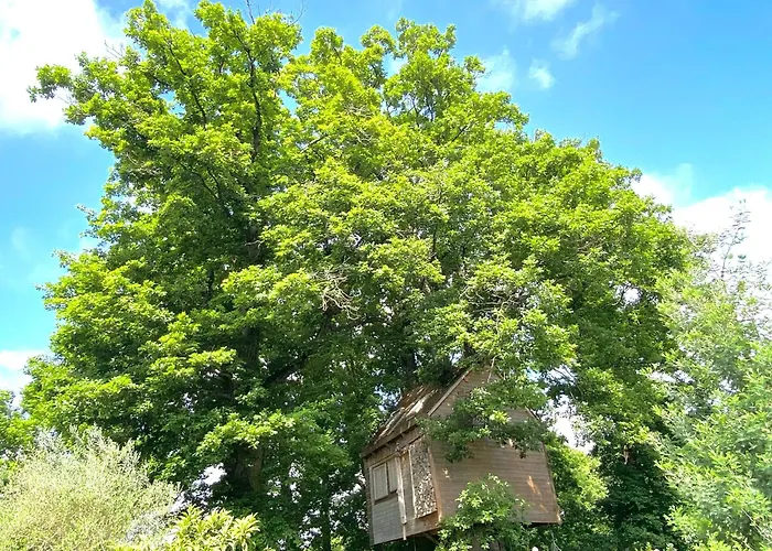 Cabane suspendue dans les arbres
