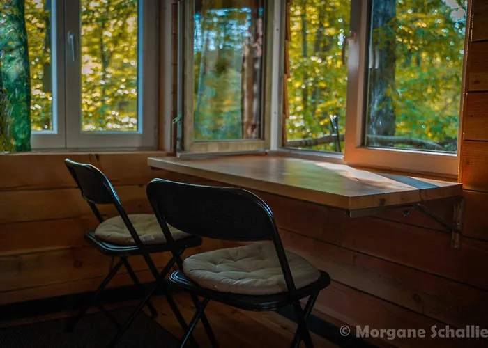 La cabane aux écureuils