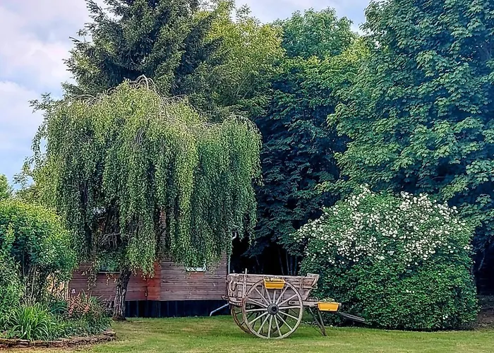 Le Cèdre