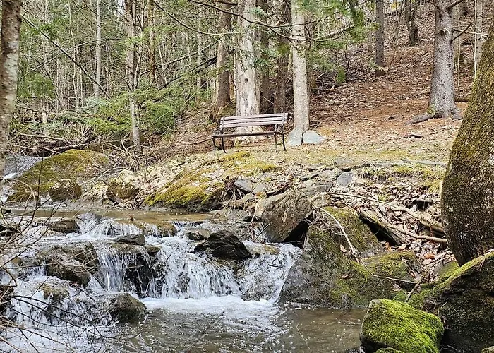 Comfy Creekside Chalet Hispeednet W Workspace