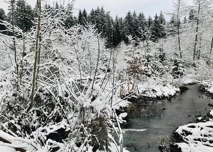 Chalet au cœur des bois