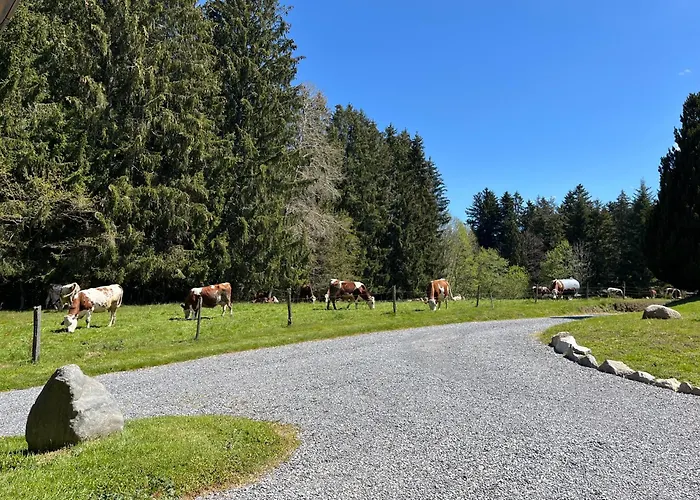 Chalet au cœur des bois