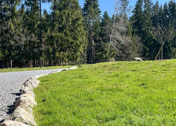 Chalet au cœur des bois