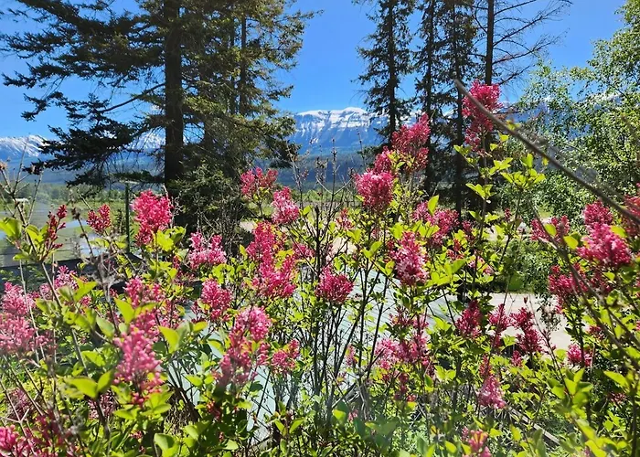 Alpenrose 4, Hottub, Mountains View, Ac, Sleep 5