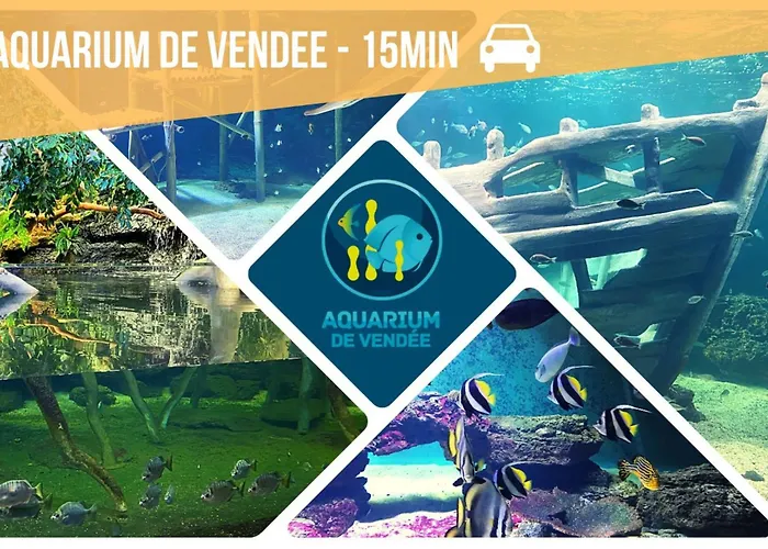 Deconnexion En Bord De Mer Confort Et Serenite Piscine Sauna Fitness