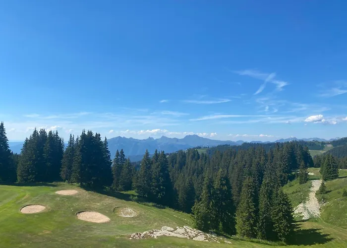 Chalet Monarch - Les Carroz - Sauna, Spa & Vue Montagnes
