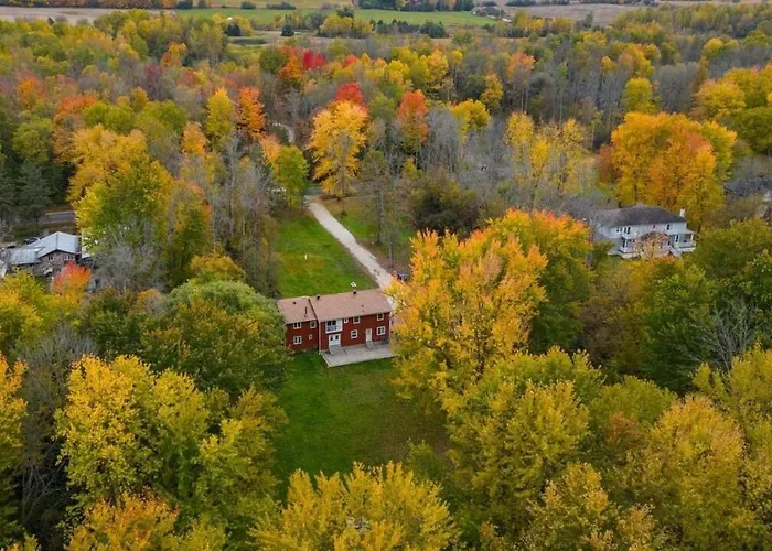 Four And Half Bedrooms 10 Acres Of Forest With Trails