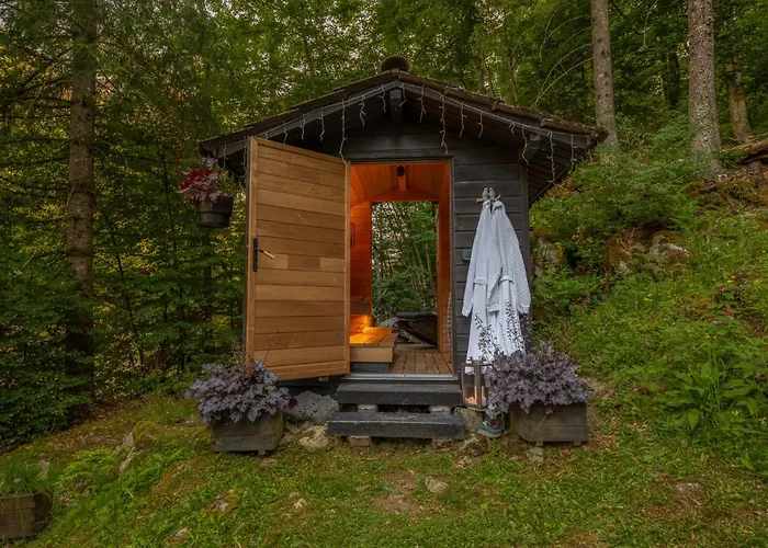 Le Petit Reve - Lac De Montriond