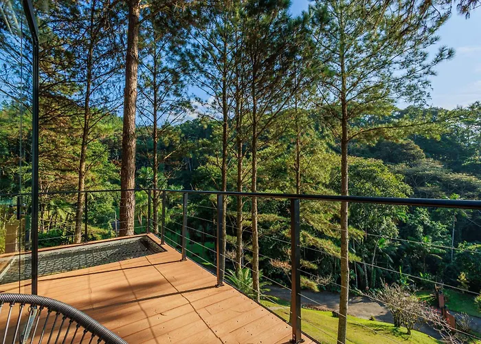 Maravilhosa Cabana De Vidro De Luxo Na Natureza