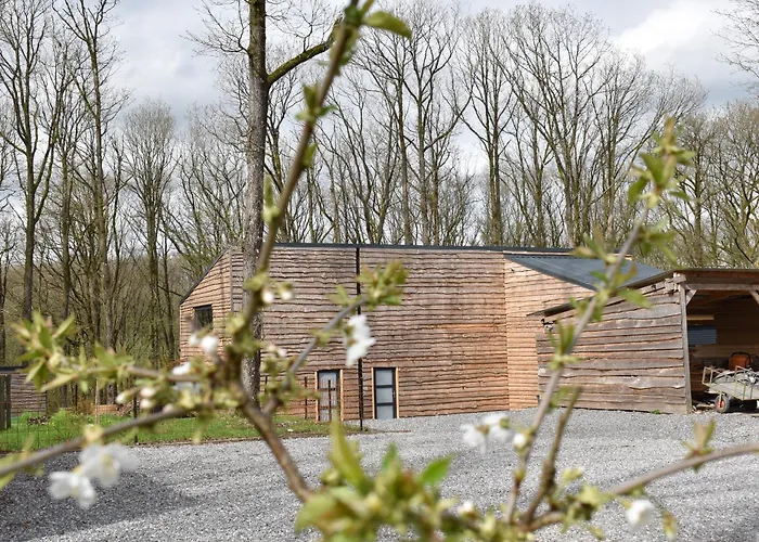 Gite cocon dans la forêt