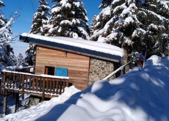 Chalet Des Lupins - Chalet 1P2