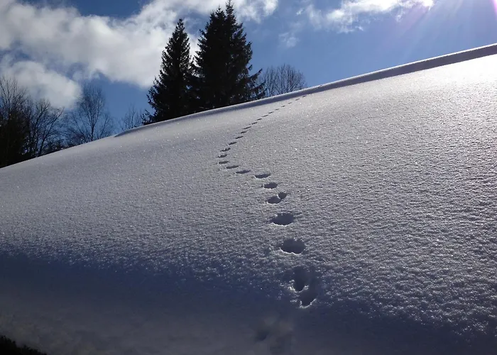 Le Chalet De Nicolas - Your Nature Exclusive Retreat !