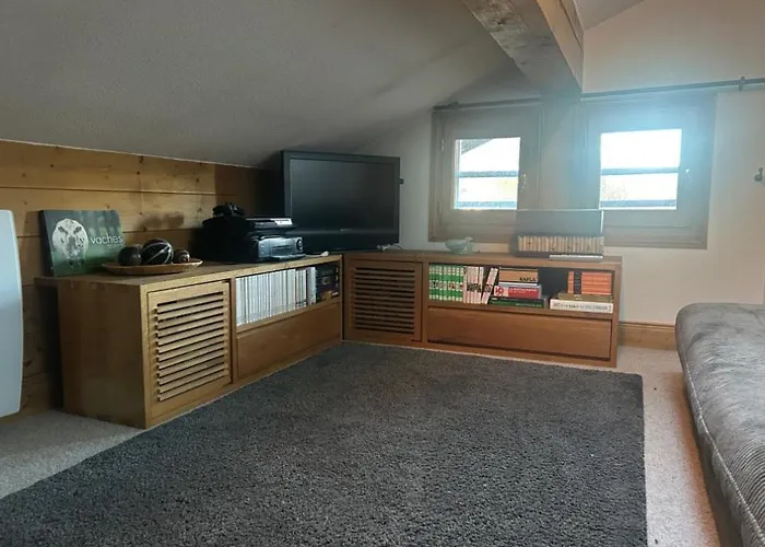 Chalet Avec Sauna Et Proximite Pistes Ski Sur Praz Sur Arly