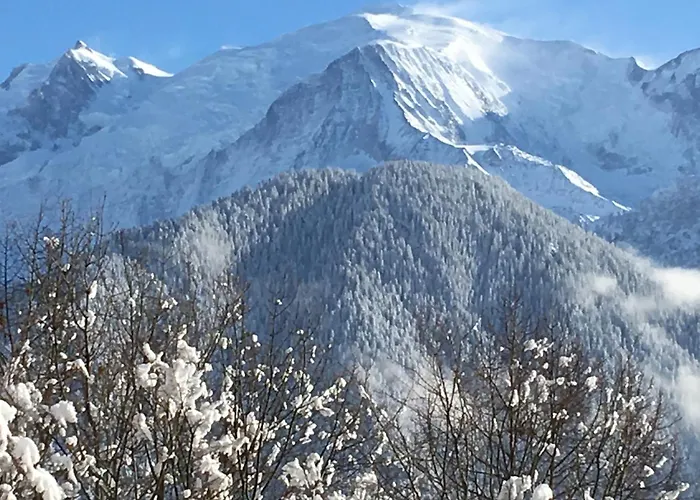 Fizhome Mt Blanc