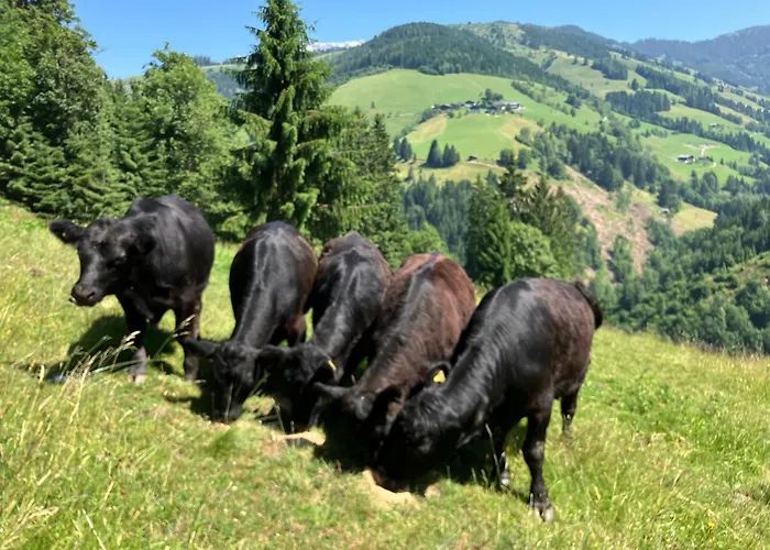 Riedlfeld Chalet