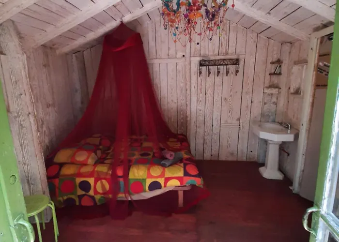 Cabane perchée de Lys dans les chênes verts et le micocoulier