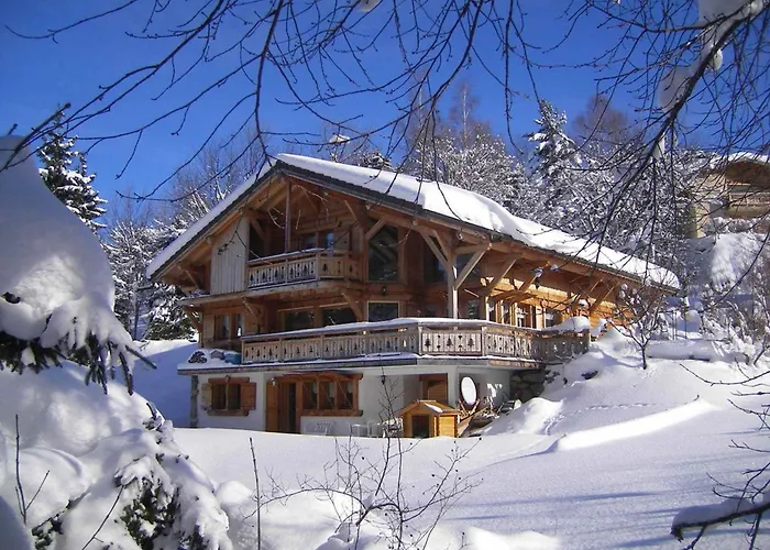 Chalet Cosy 12 Pers. A 1Km Des Pistes, 5 Ch., Wifi, Cheminee, Abri Voiture