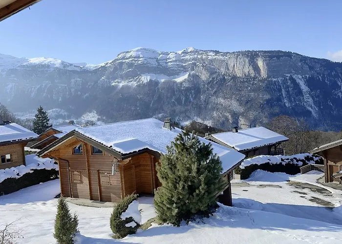 Chalet indépendant 8 pers, déco moderne, proche centre et remontées, terrasse sud-ouest - FR-1-572-32