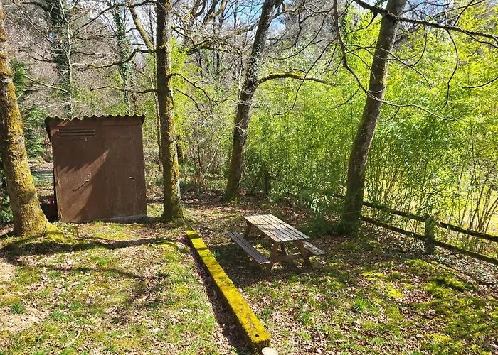 La Cabane, Dans La Foret De Mervent