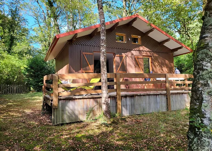 La Cabane, Dans La Foret De Mervent