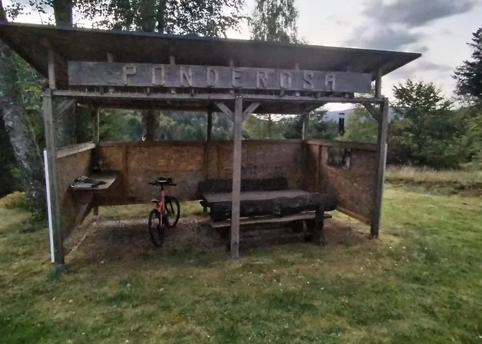 Chalet Le Ponderosa