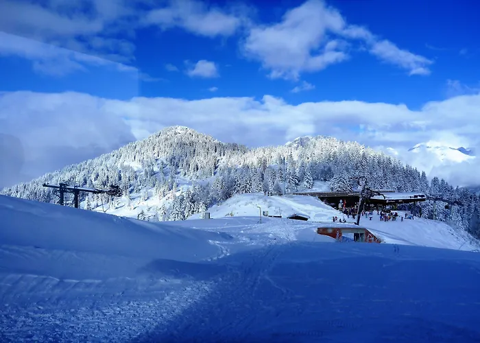 Chalet Hotel Du Bois