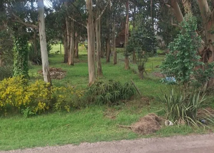 Cabanas Yarri II