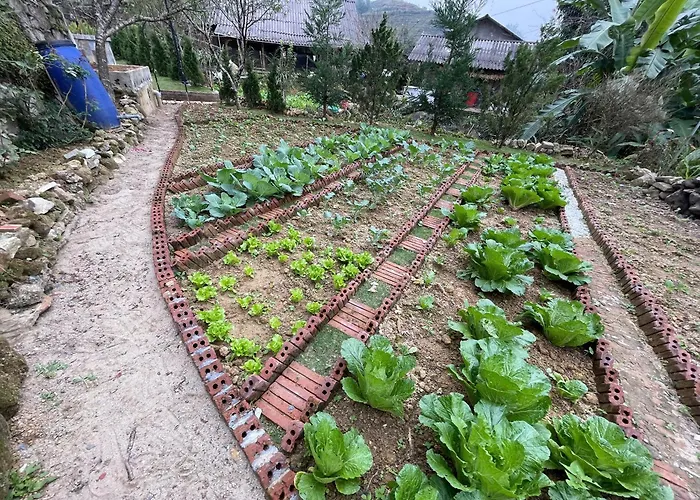 Vi'S House - Nature In The Middle Of Hmong Village