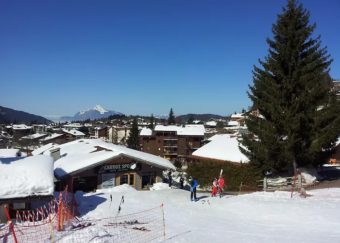 Hotel Chalet Les Airelles