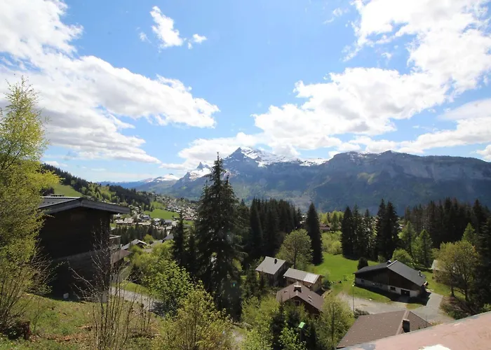 Chalet 5 ch, 11 pers, terrasse sud, Les Carroz - FR-1-572-115