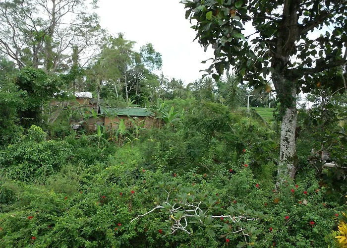 Wenara Bali Bungalows